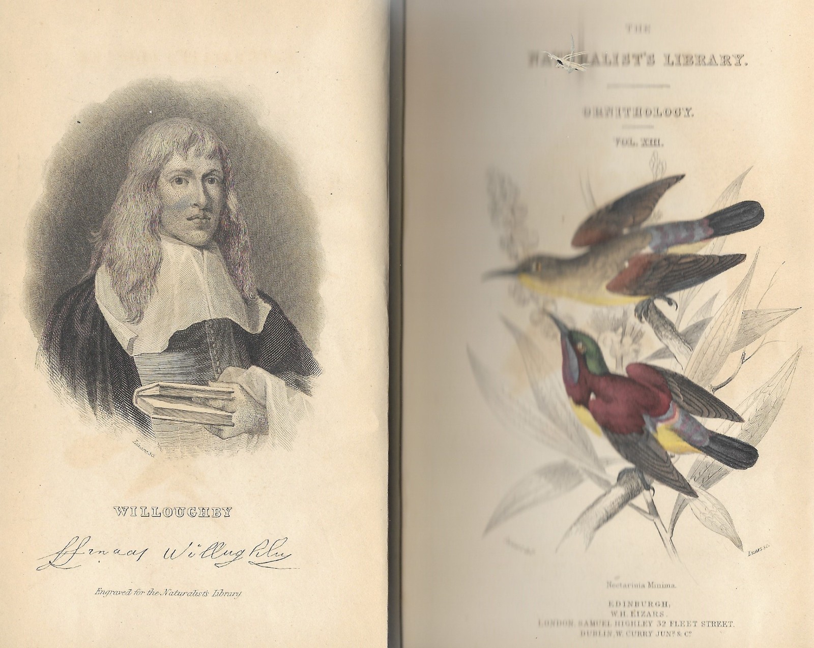SunBirds Volume XII Jardine’s Naturalist’s Library: First Edition rebound