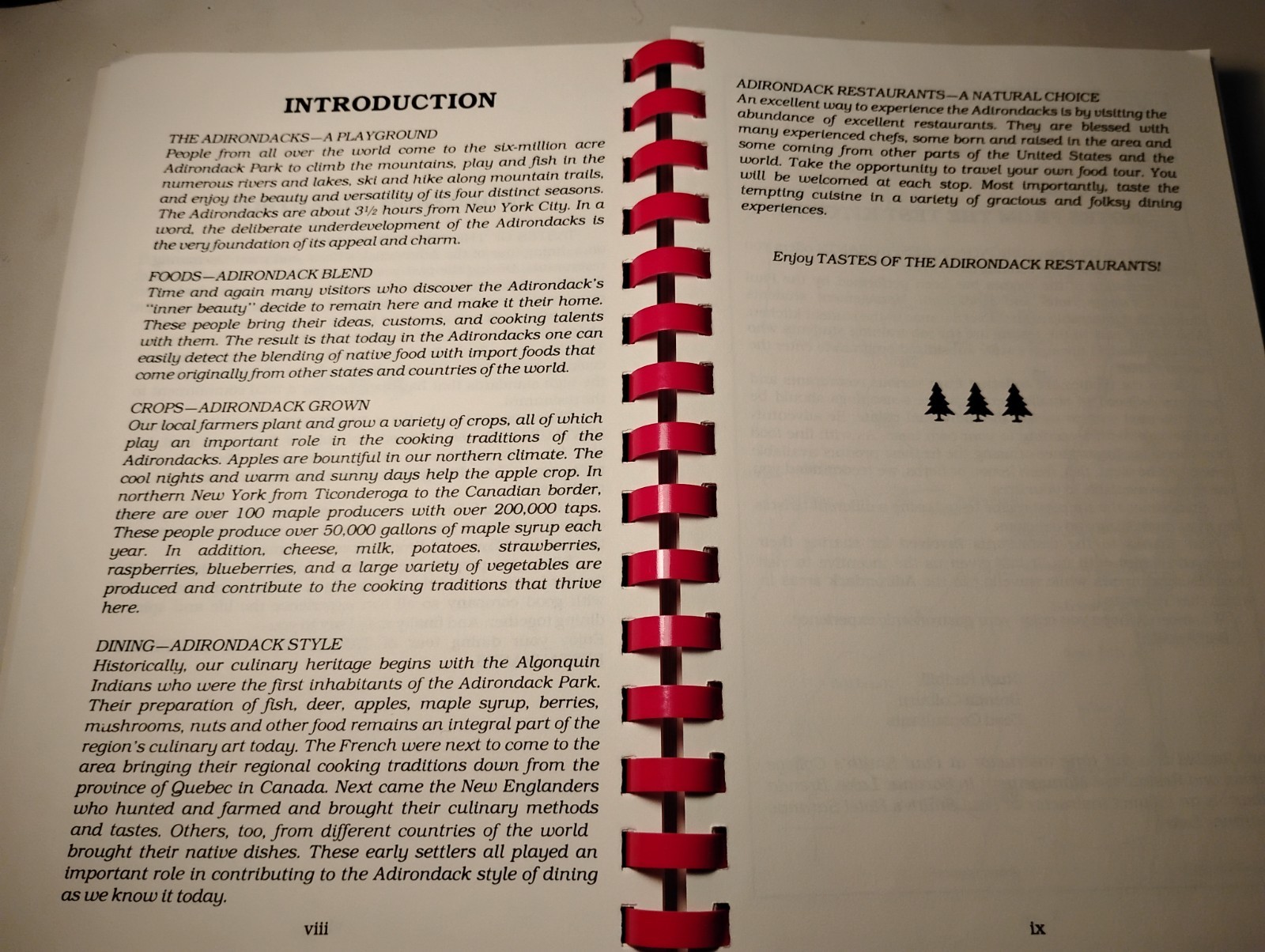 SIGNED 1st Ed TASTES OF THE ADIRONDACK RESTAURANTS Sue Schilidge Cookbook NY