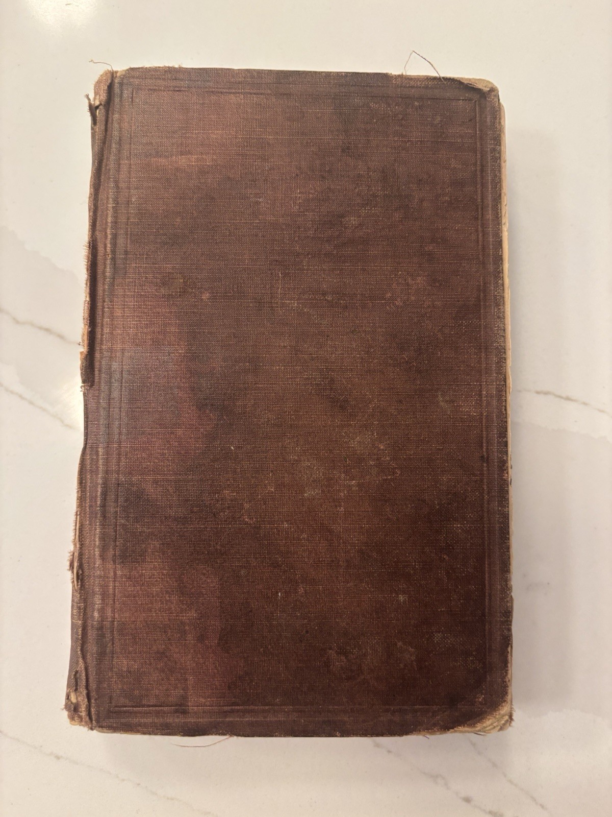 1876 The Centennial Cook Book & General Guide Ella E. Myers Antique Cookbook AS