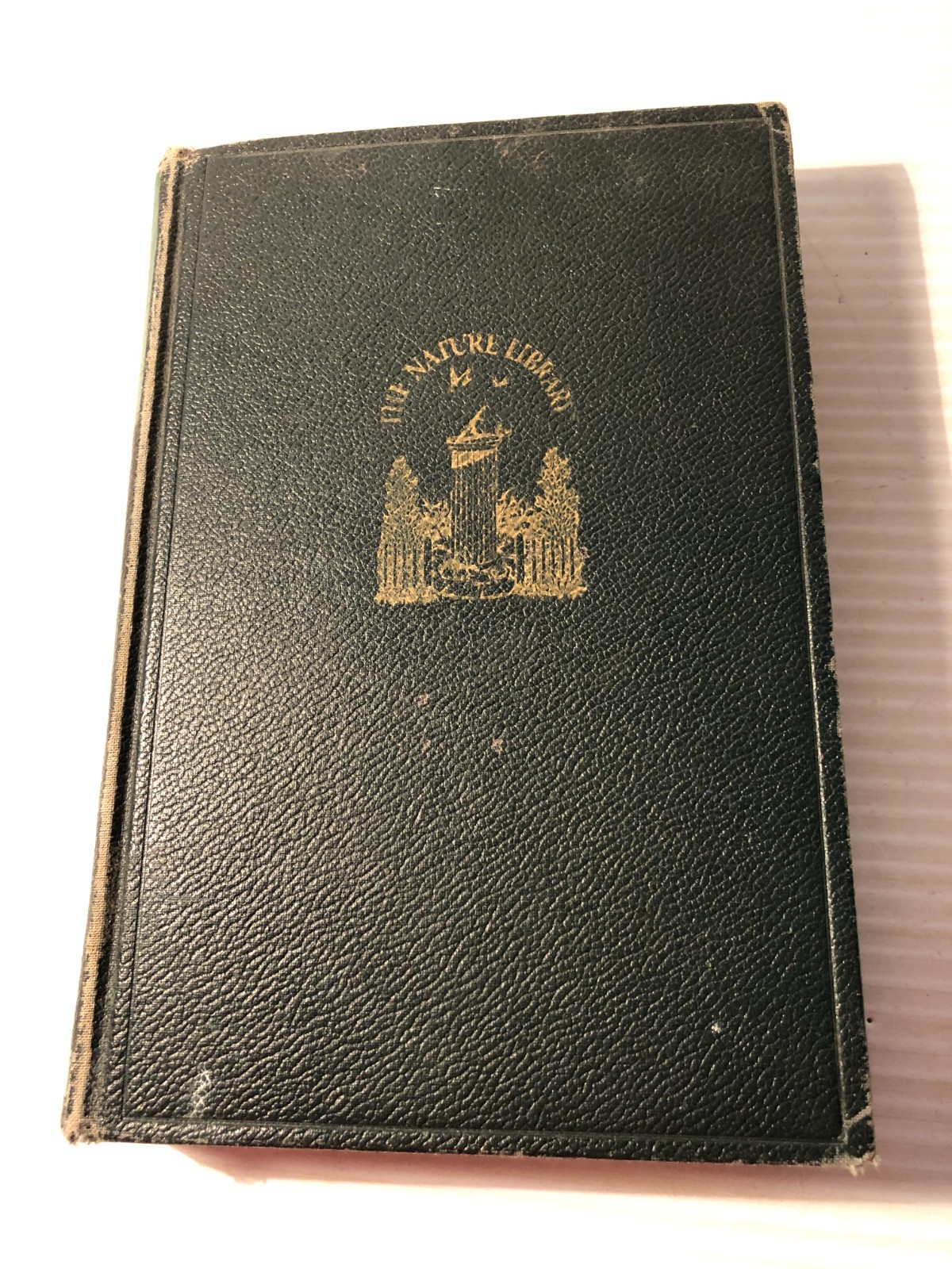 b The Nature Library TREES Julia Ellen Rogers 1926 Doubleday Doran 48 Color Ill