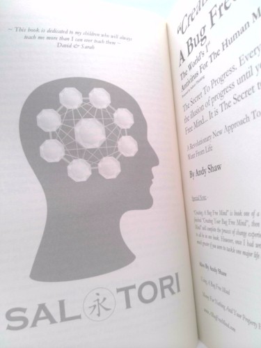 Creating a Bug Free Mind: The Secret to Progress by Andy Shaw