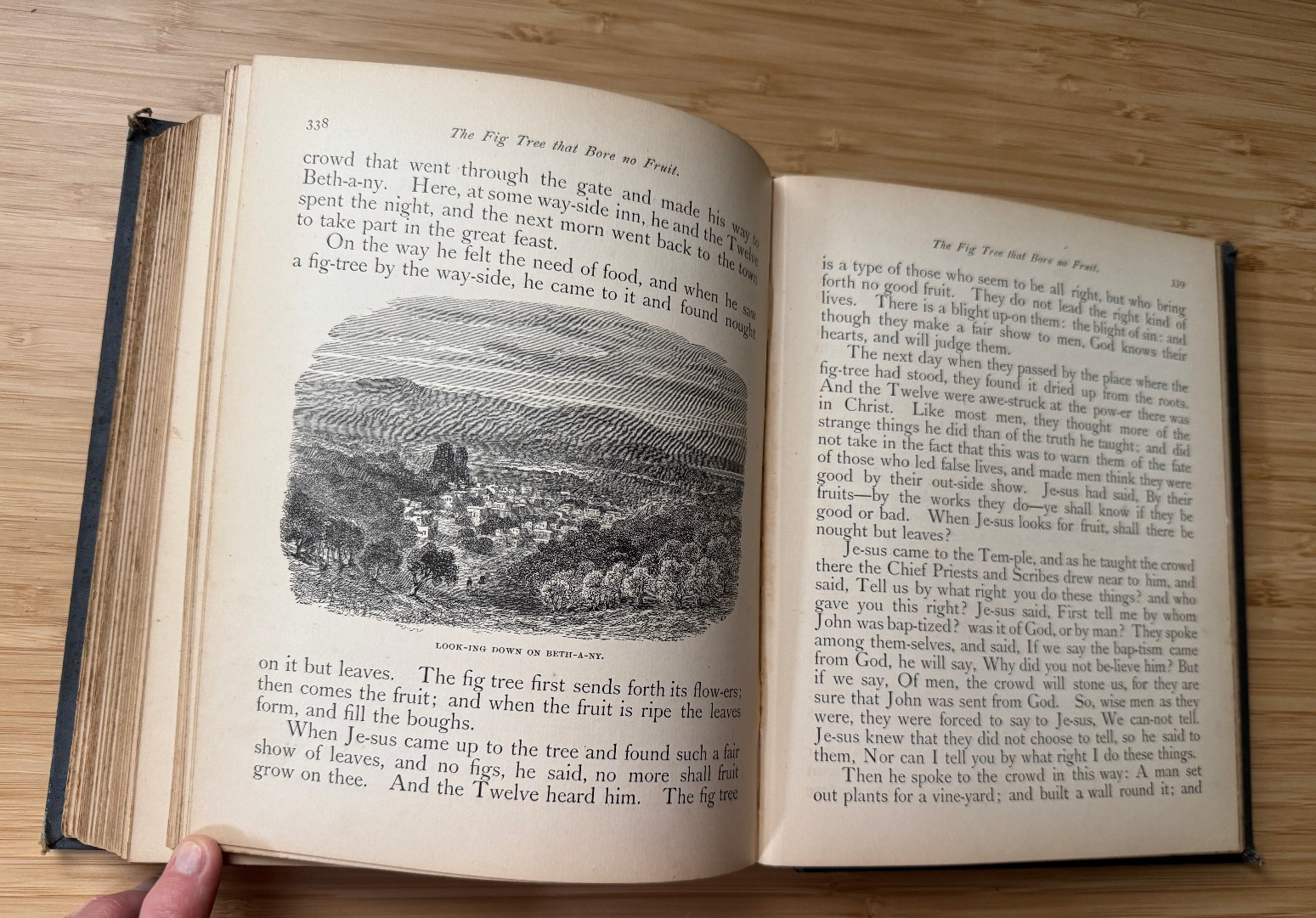The Wonderful Story of Jesus 1890 200 Youth Children’s Christianity Art Bible