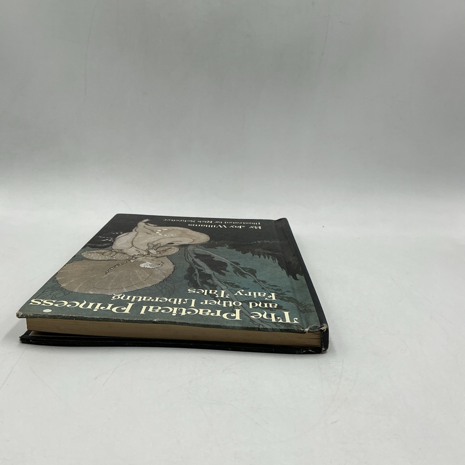 The Practical Princess and Other Liberating Fairy Tales Jay Williams 1st HC-Good