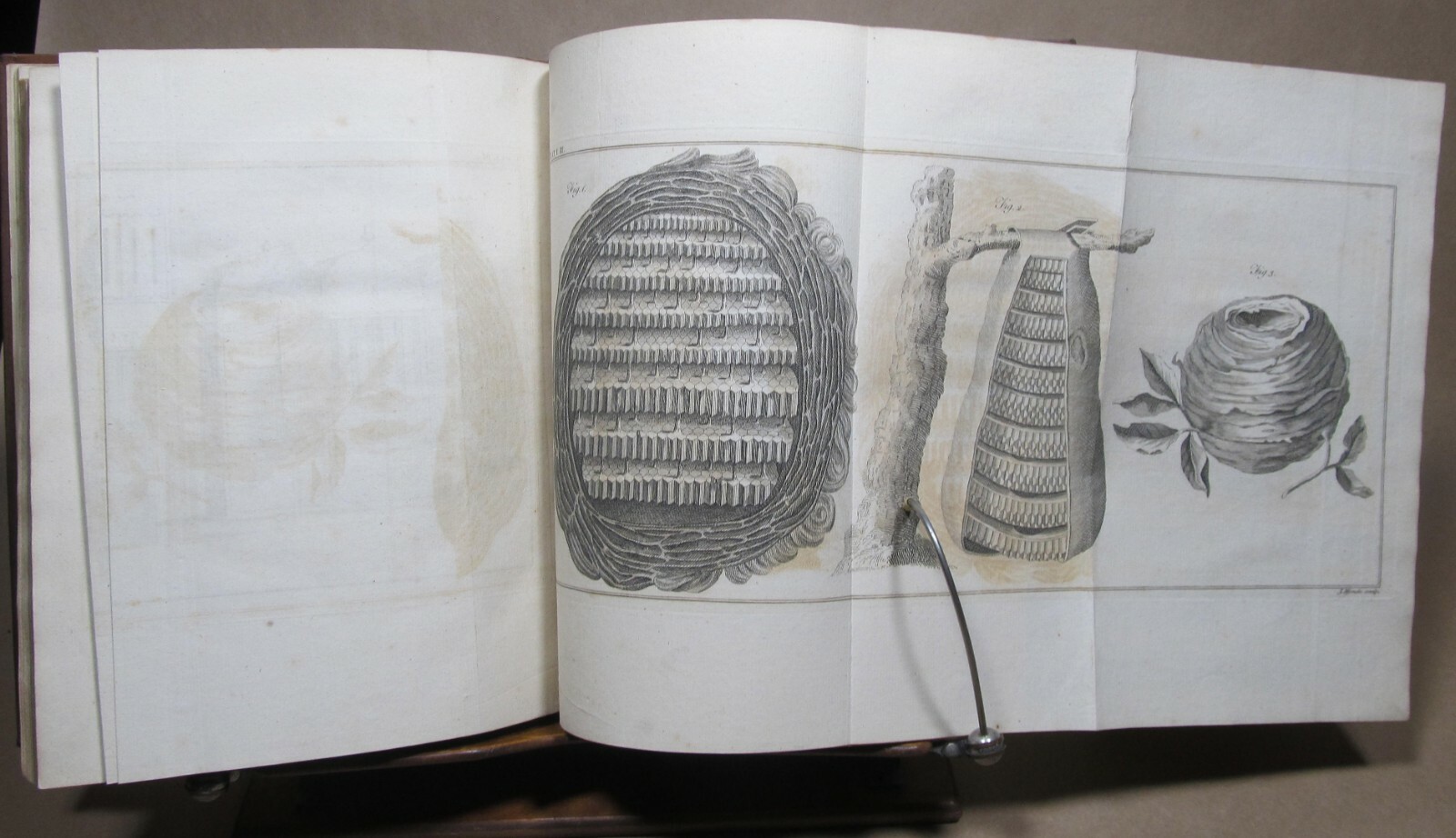 A Treatise on the Management of Bees by Thomas Wildman London 1768 rebound