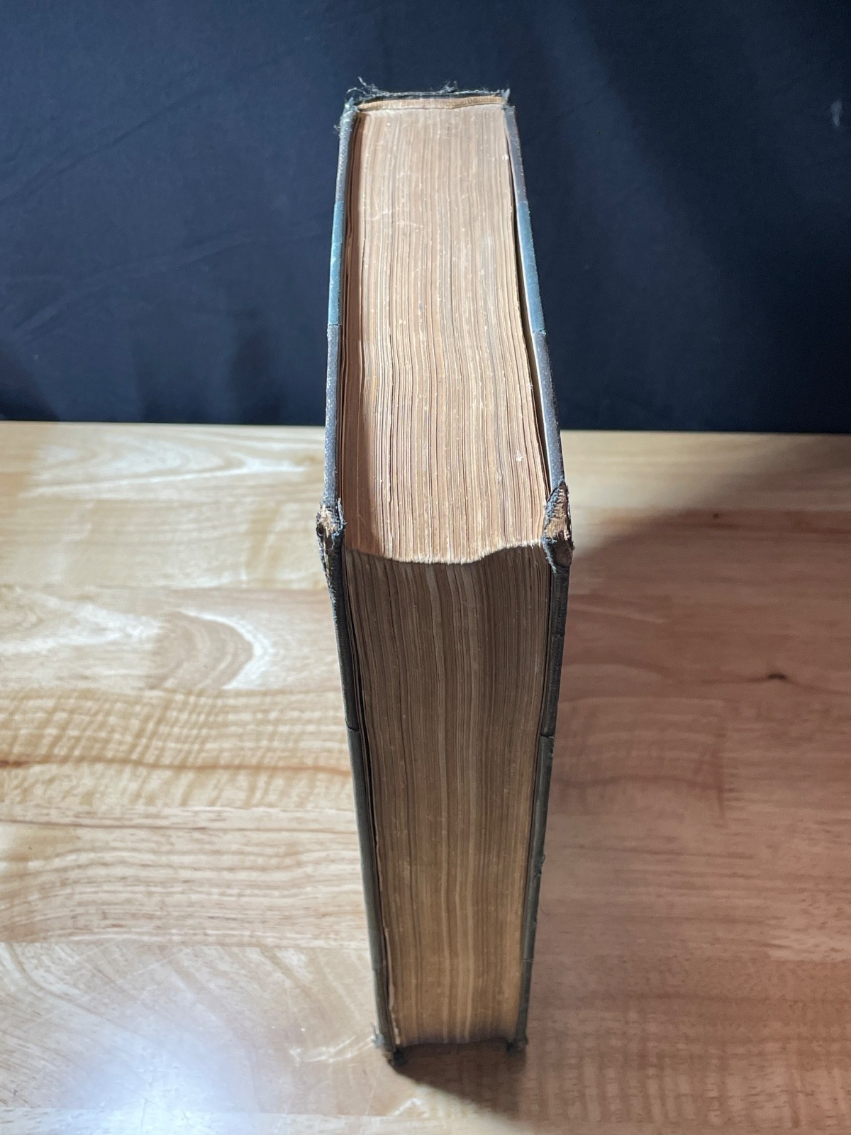 1925 Reading and Berks County Pennsylvania Vol I History Fox 1st Ed Antique