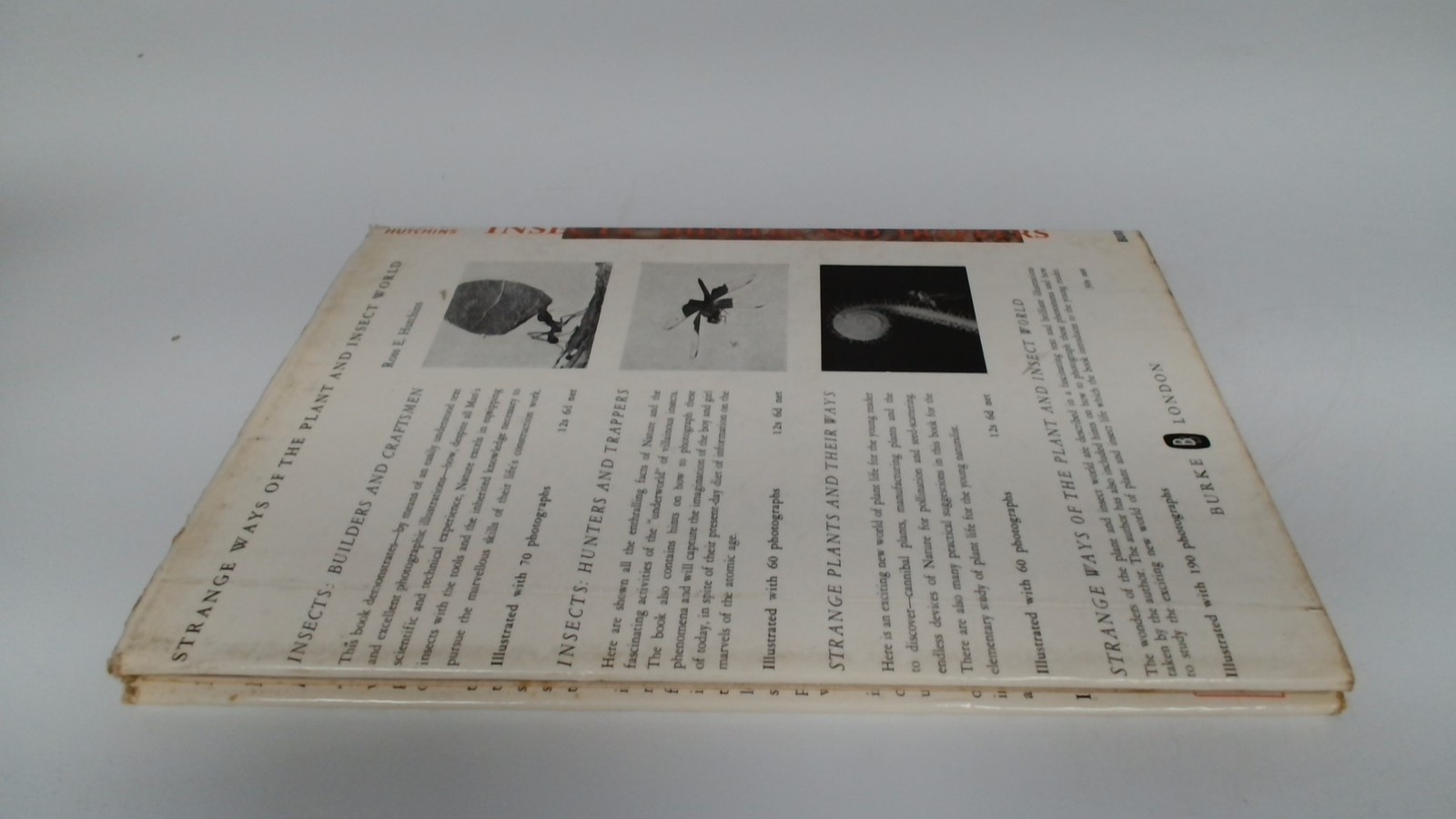 Insects Hunters And Trappers, Ross E Hutchins, Burke, 1960, Hardc