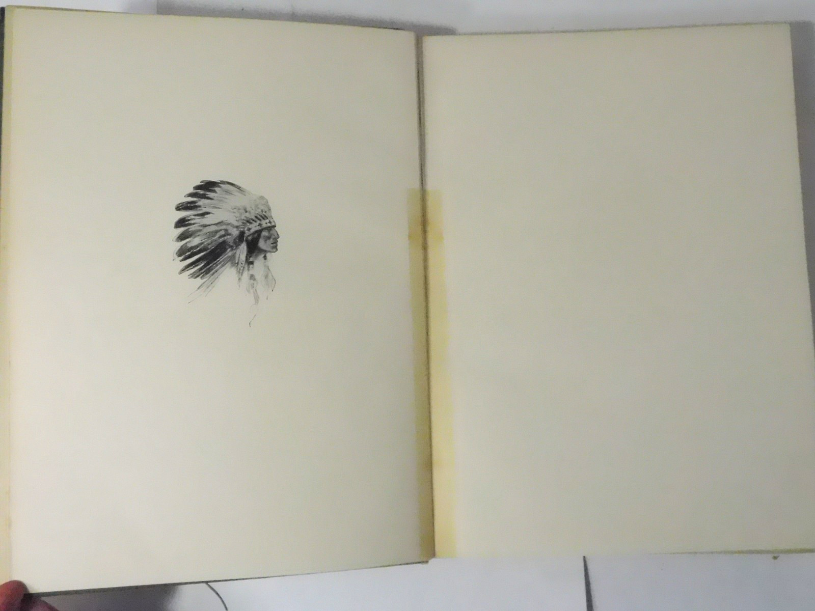 1906 The Song of HIAWATHA-Henry W .Longfellow/Harrison Fisher Illustrated