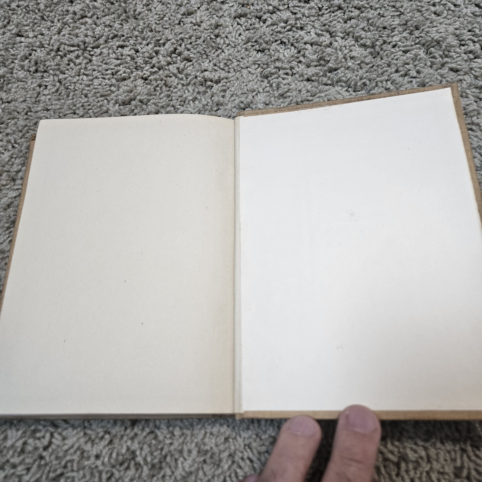 The Child’s World: Second Reader | Johnson Publishing Co 1920