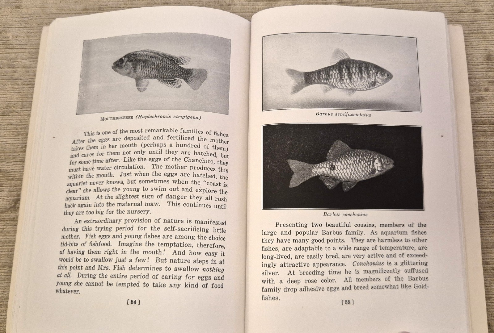 SCARCE 6th Edition 1932 THE MODERN AQUARIUM; WILLIAM T. INNES – GOOD – FREEPOST!