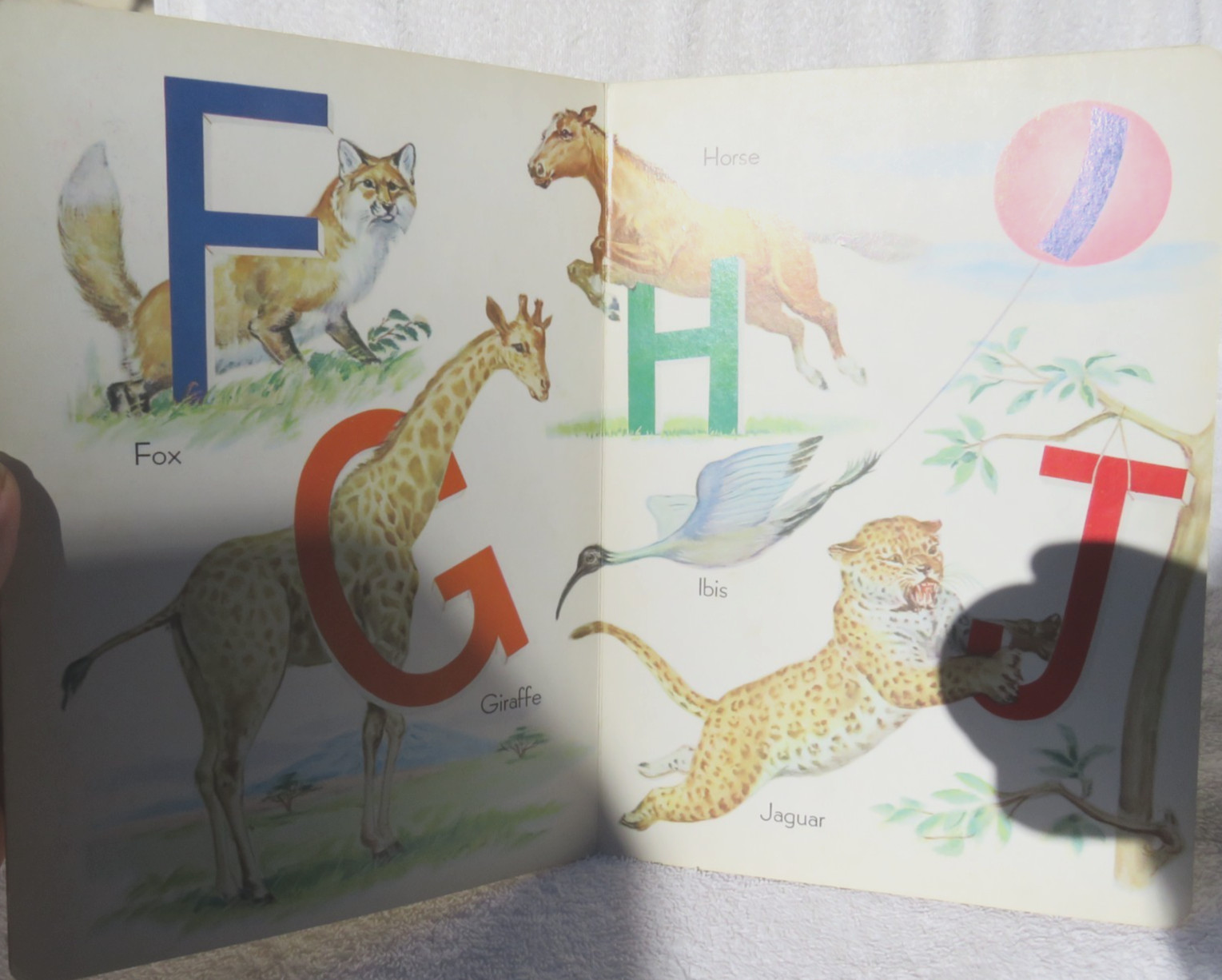 Learning ABC with Animals and Birds Vintage Children’s Board Book Doeisha Kresge