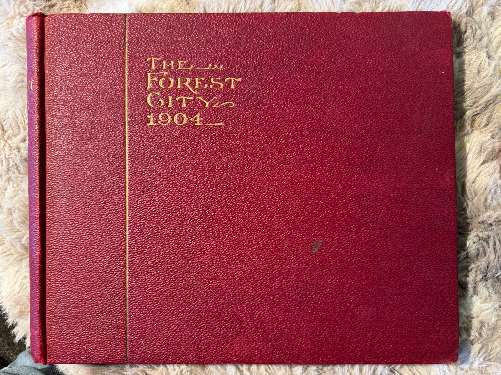 1904 The Forest City St Louis World’s Fair Photo Book Walter B Stevens