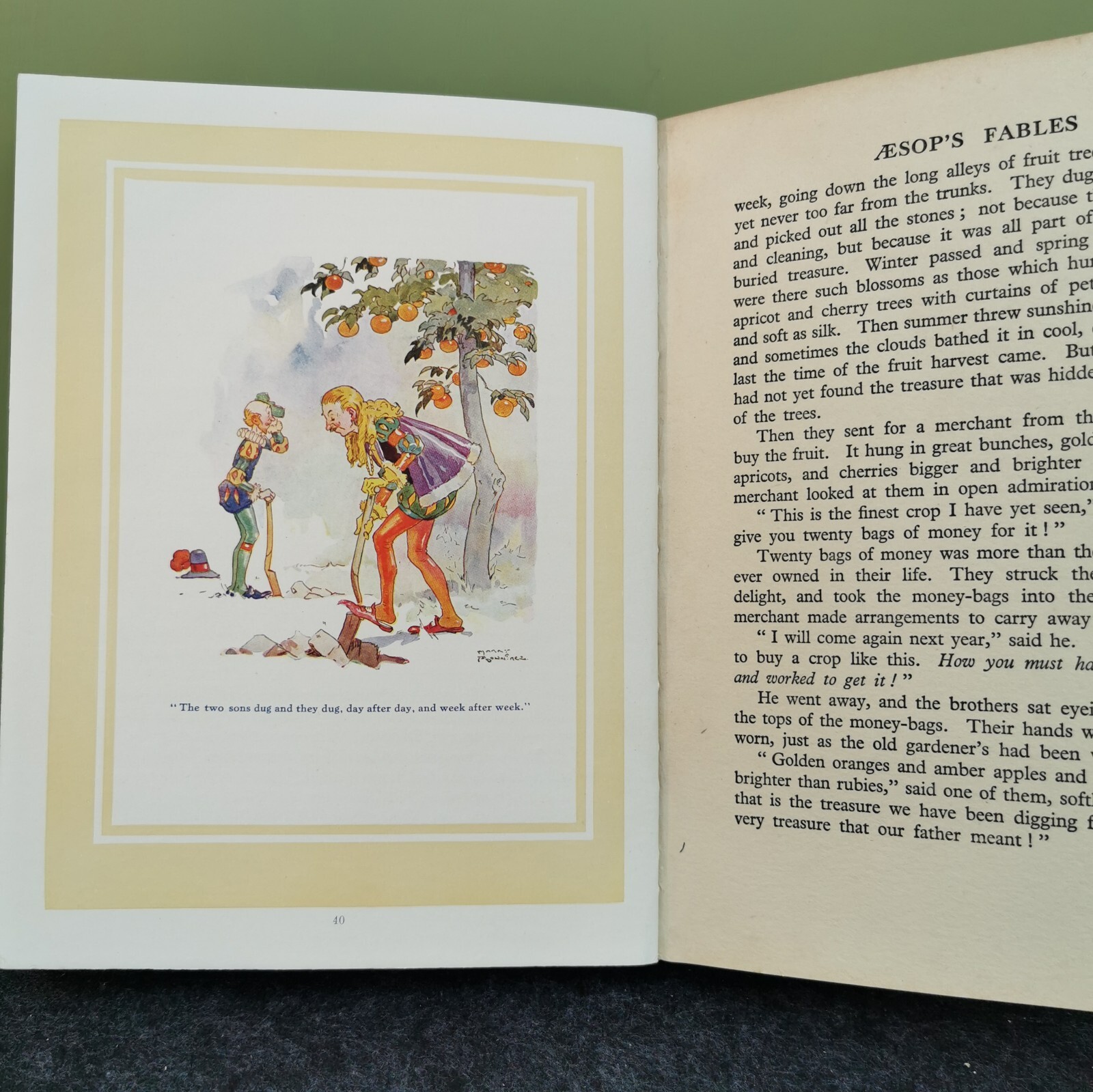 Aesop’s Fables. 24 Colour Plates by Harry Rountree. 1930 Ward Lock Hardback
