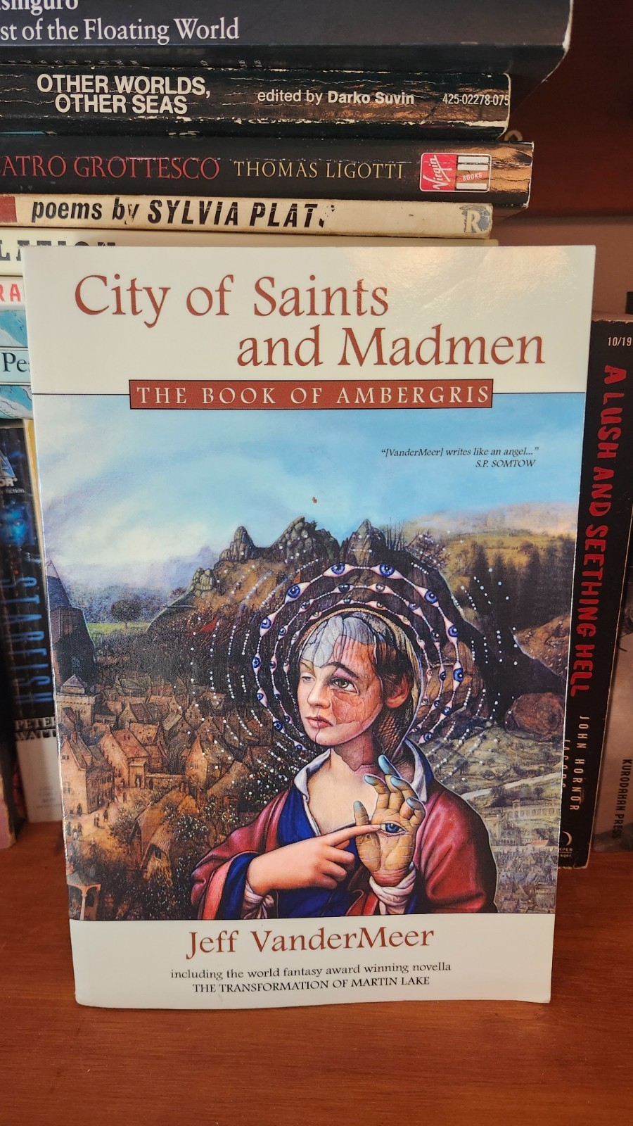 City of Saints and Madmen by Jeff VanderMeer PB First Edition Like New 2001