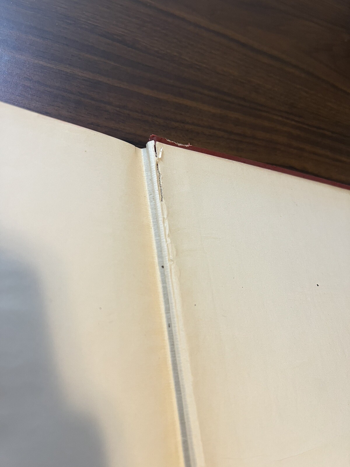 Pilgrim’s Progress John Bunyan Altemus 1890 100 Illustrations Frederick Barnard