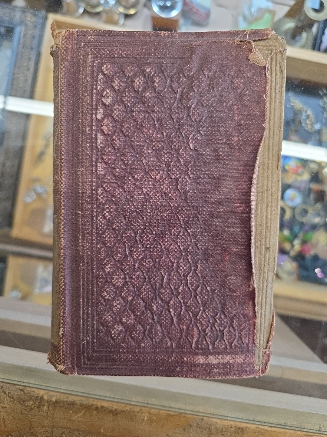 LIFE OF AUDUBON NATURALIST OF NEW WORLD 1861 ed Mrs Horace St. John VERY GOOD