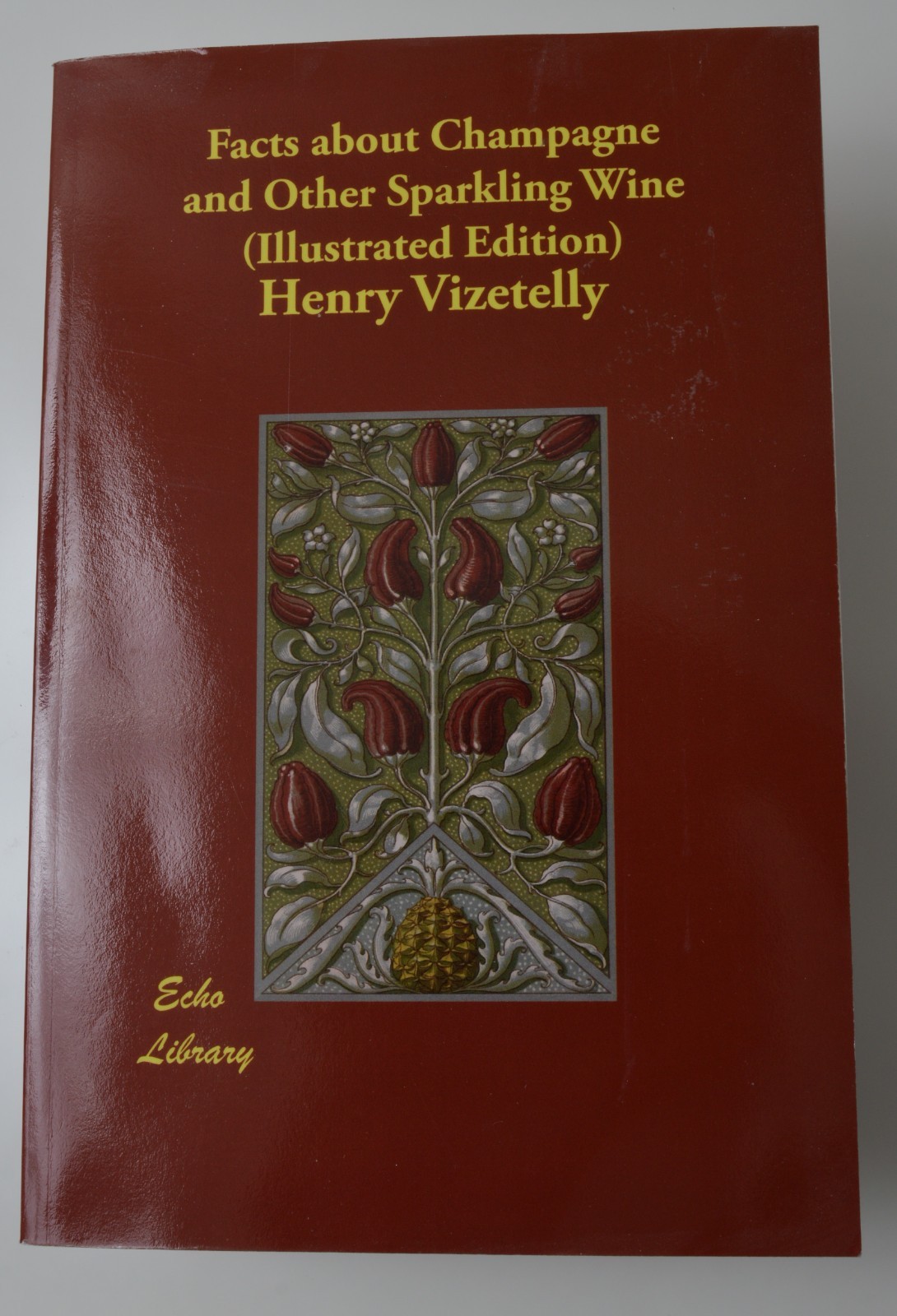 Facts about Champagne and Other Sparkling Wine – Illustrated Edition 2008
