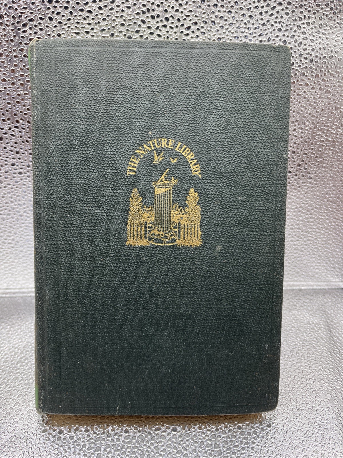 1926 The Nature Library Wild Flowers By Neltje Blanchan