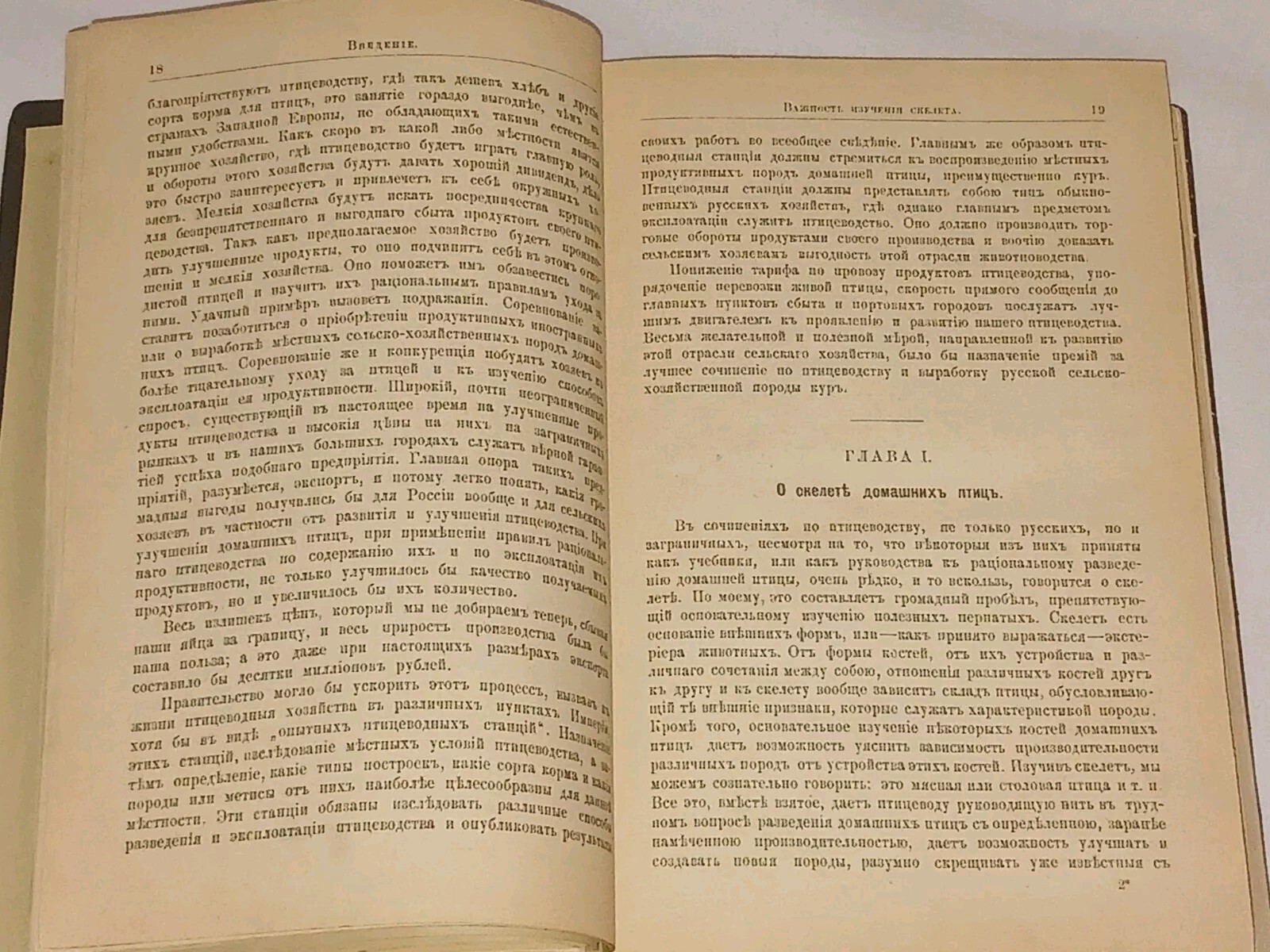 1895 ???????????? ?????? ???? ? ??????? ?????????? Antique book in Russian
