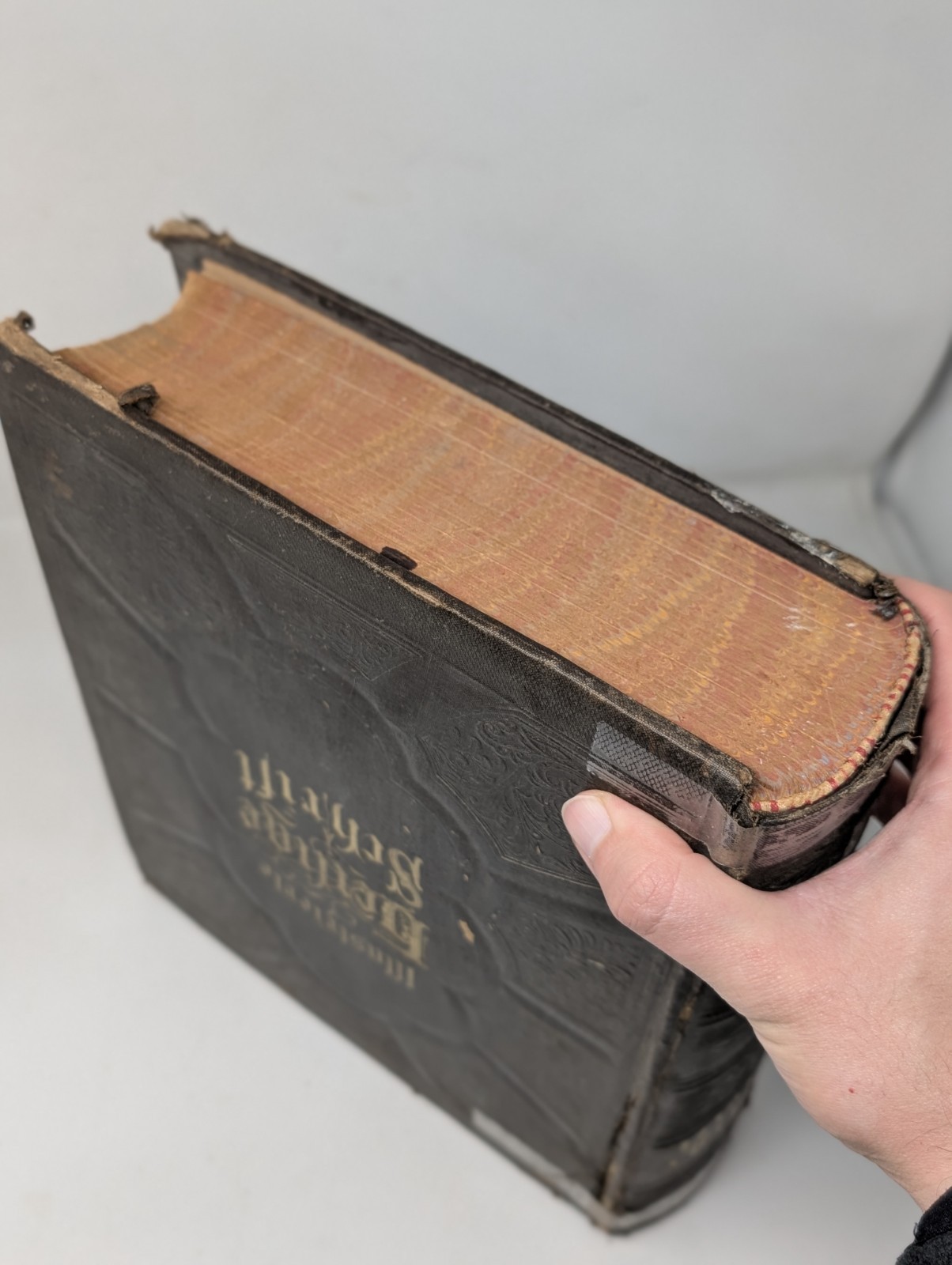 Antique German Holy Bible 1891 A. J. Holman’s Co. Philadelphia Illustrated VTG