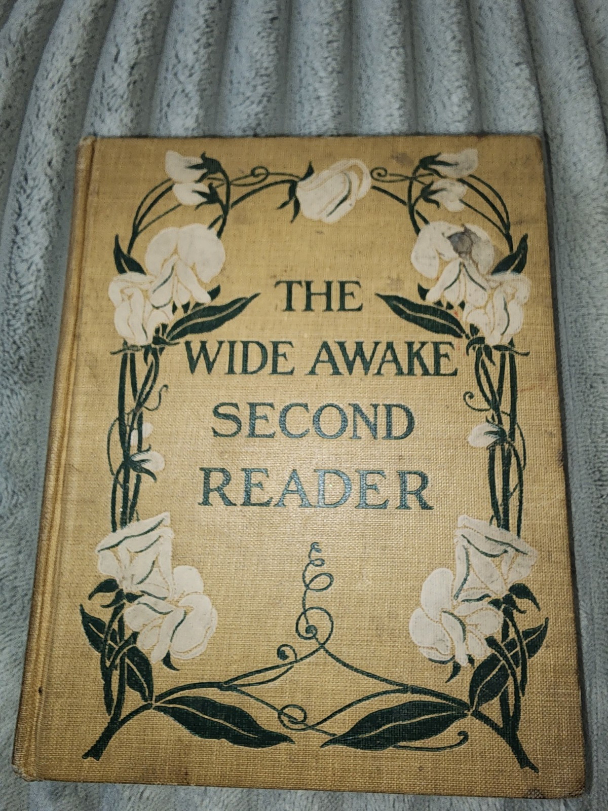 The Wide Awake Second Reader by Clara Murray Little, Brown, and Company 1914 GC