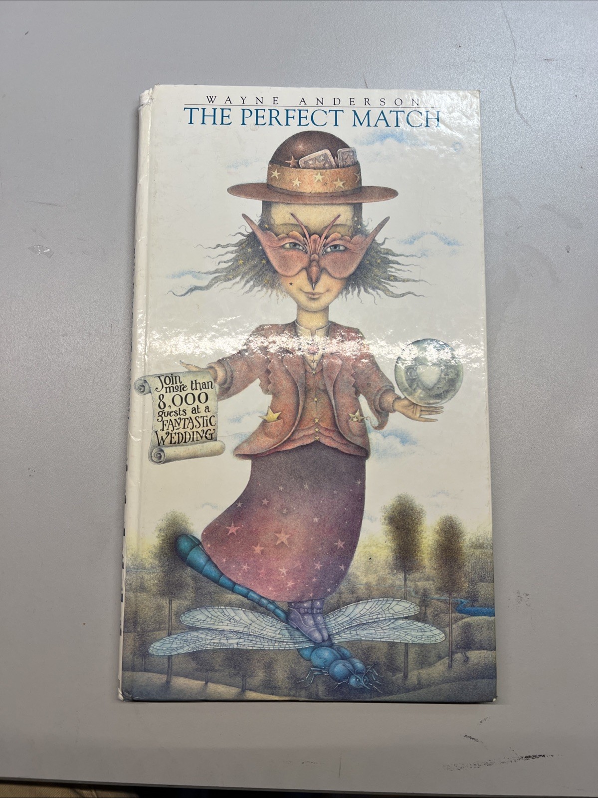 1995 The Perfect Match by Wayne Anderson First US Edition