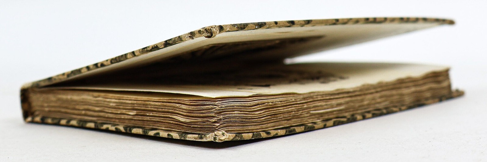Iacobum Sylvium / MORBORUM INTERNORUM PROPE OMNIUM CURATIO BREVI METHODO 1549