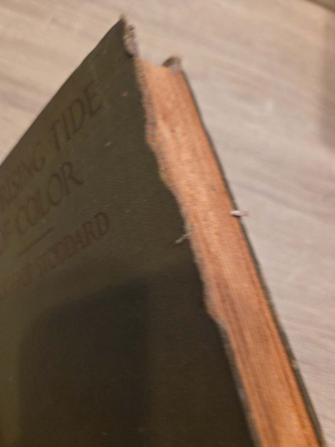 The Rising Tide of Color Against White World-Supremacy 1920 By Lothrop Stoddard