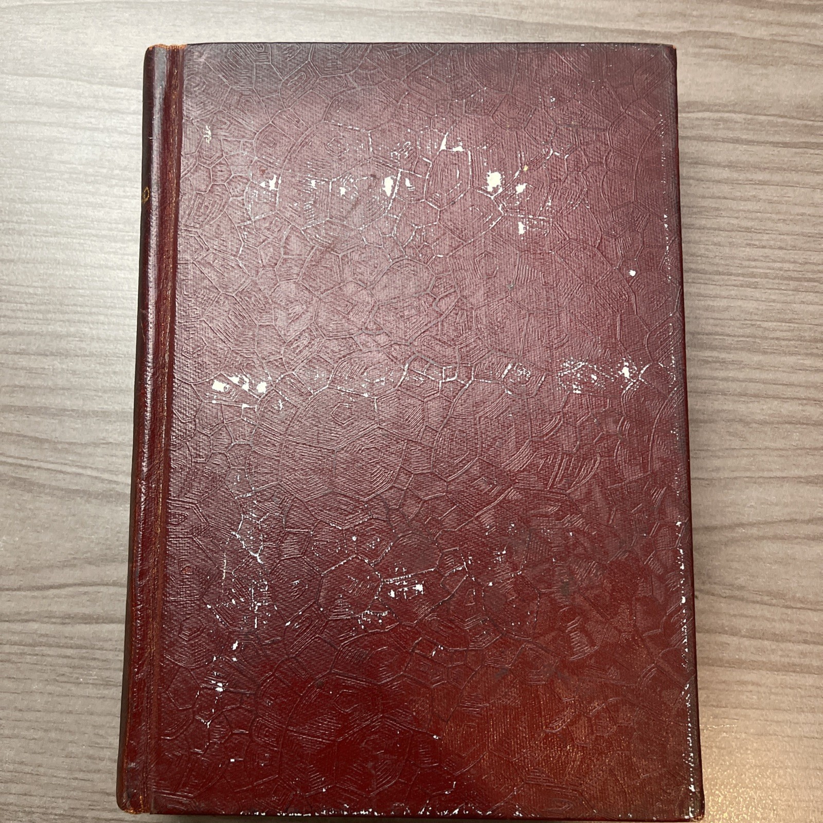 More Back-Yard Zoo Daniel P. Mannix 1936 HC Very Rare Hartford Public Library