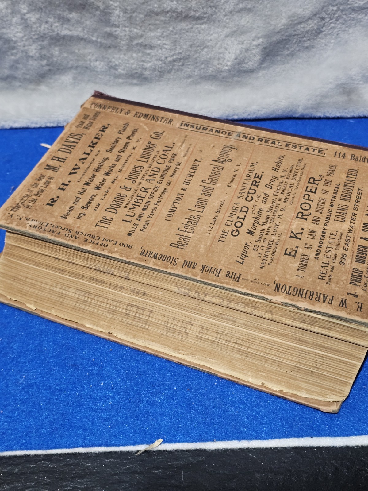 Antique 1895 Elmira NY City Directory Hanford Genealogy Business Ads New York