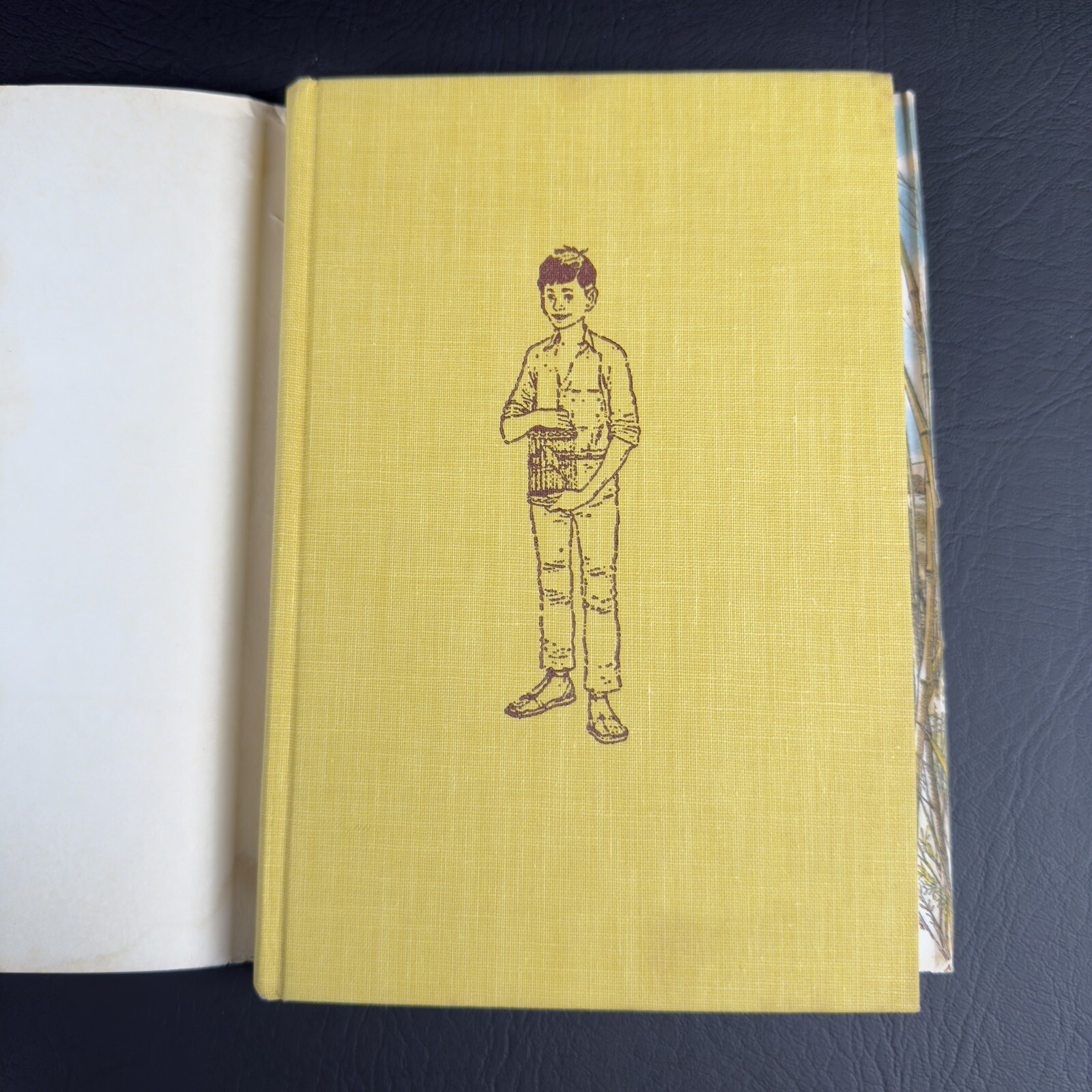 The Donkey Rustlers by Gerald Durrell 1968 1st. American Edition Hardcover