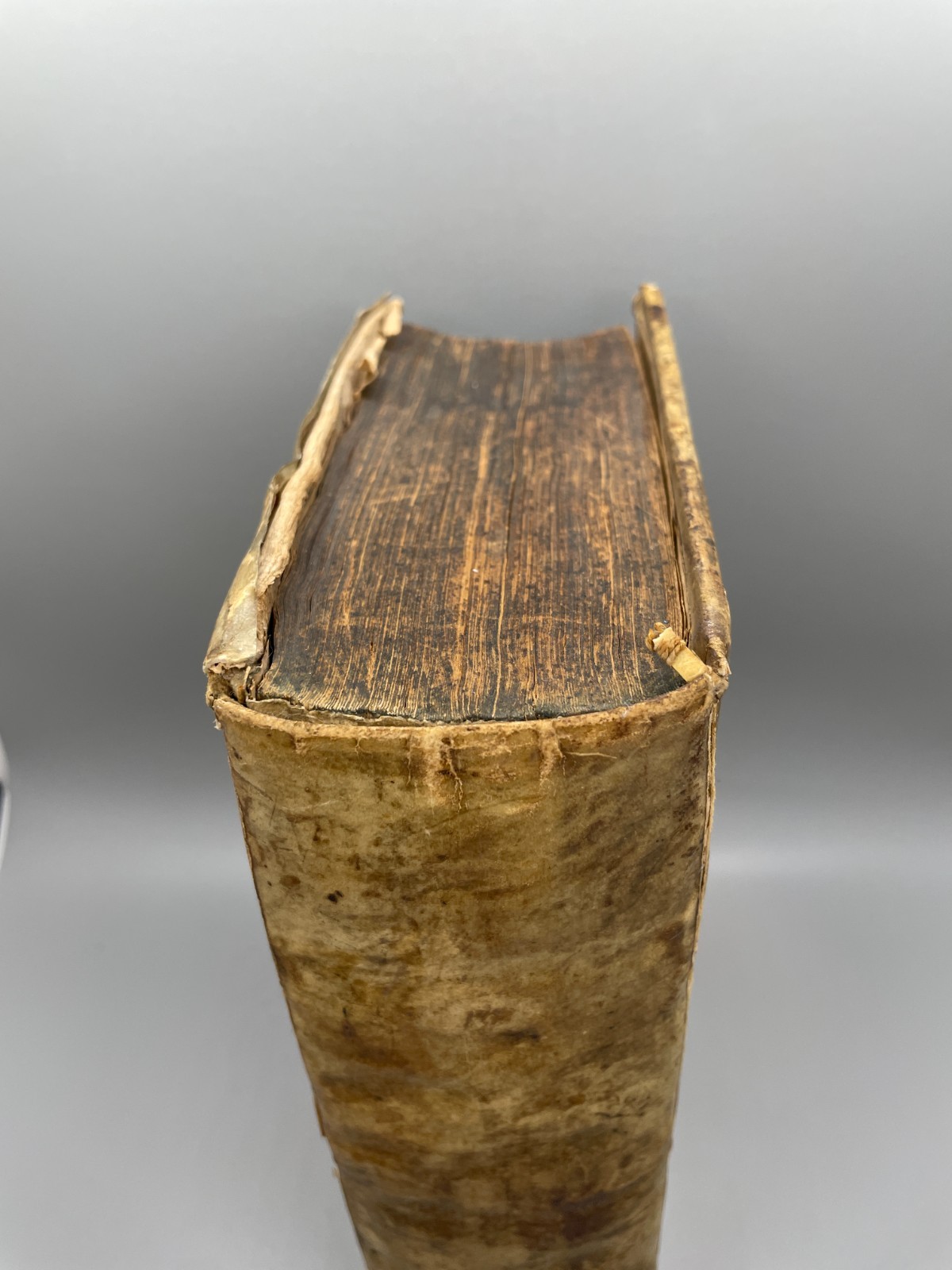 Biblical Real Lexicon Published by Conrad Stosseln 1715 Book, Vellum, German