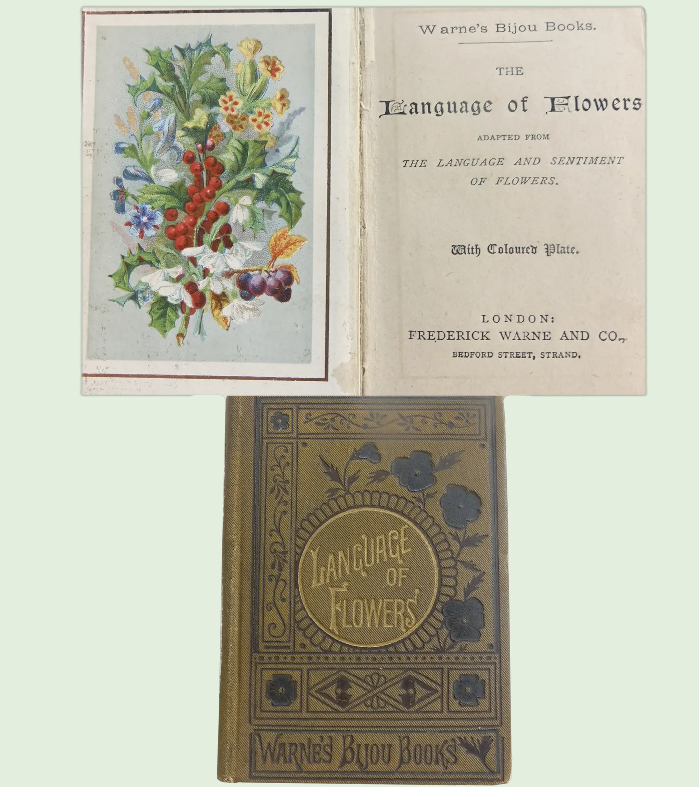 1889 Language of Flowers – Warne’s Bijou Series – MINIATURE