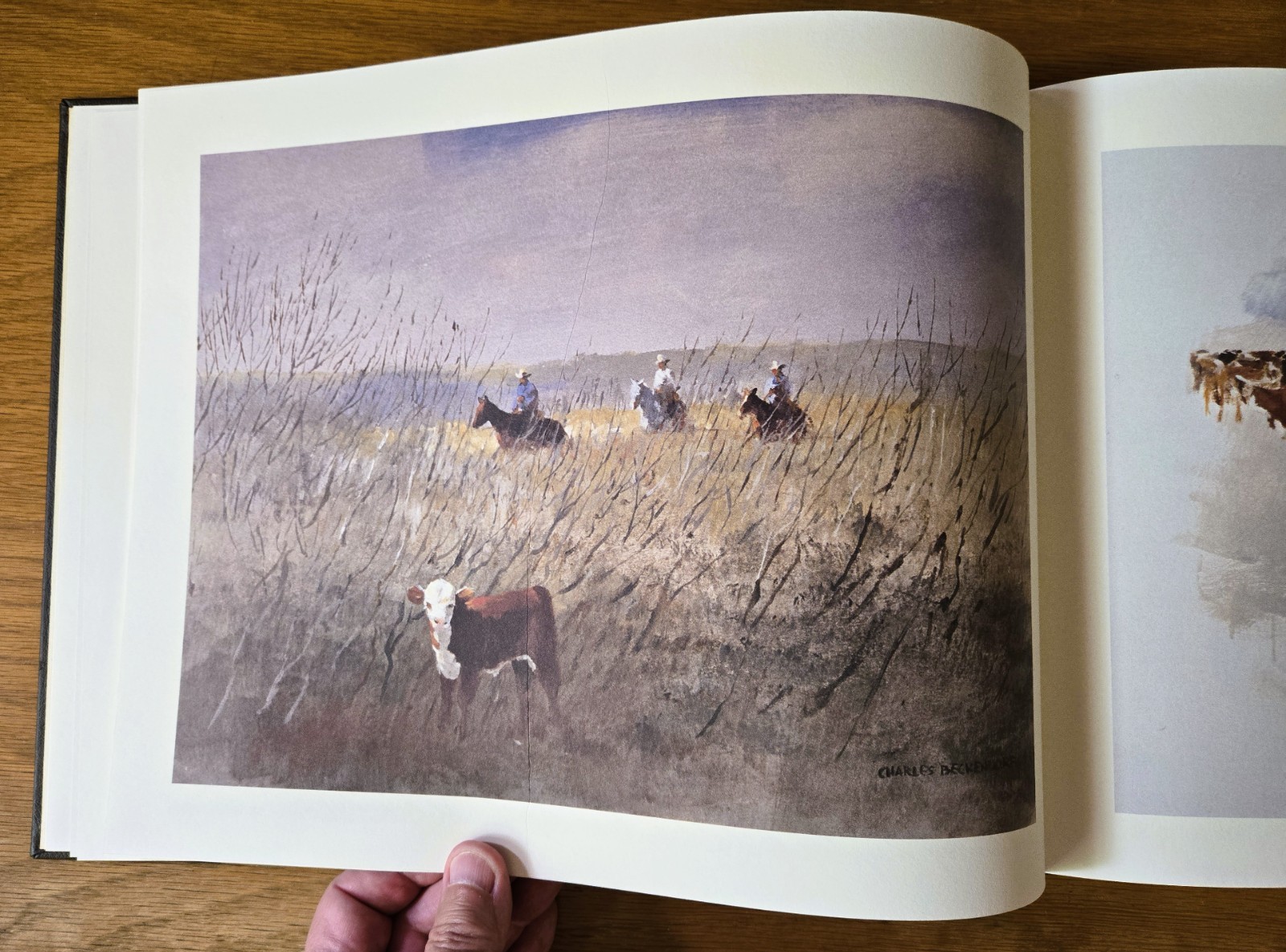 Charles Beckendorf Images of Texas III (HC, 1981) Fredericksburg, Hill Country