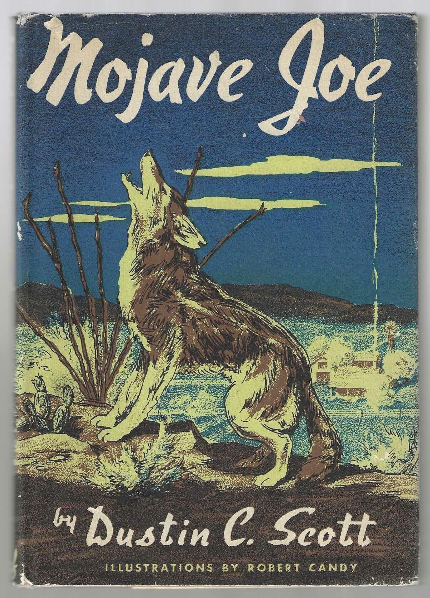Mojave Joe