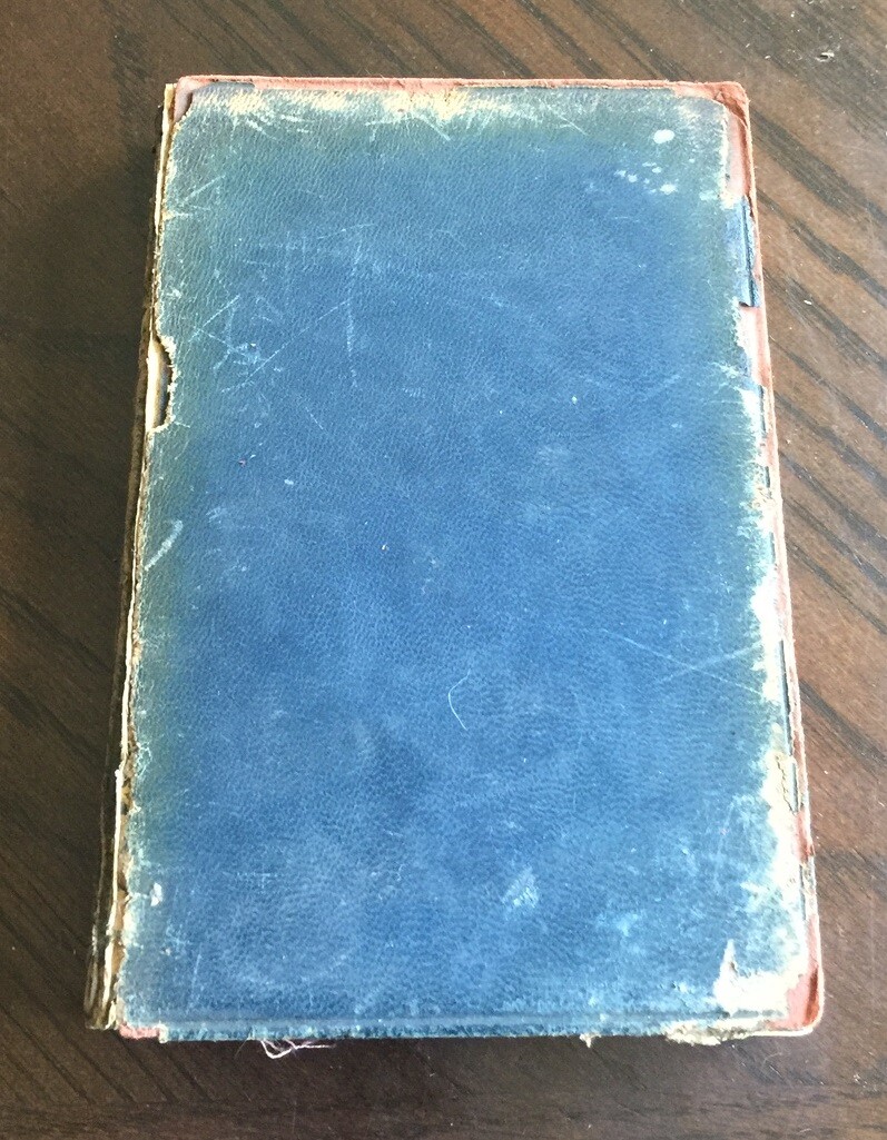 Anne of Geierstein Maiden of the Mist Sir Walter Scott New Century Library ~1900