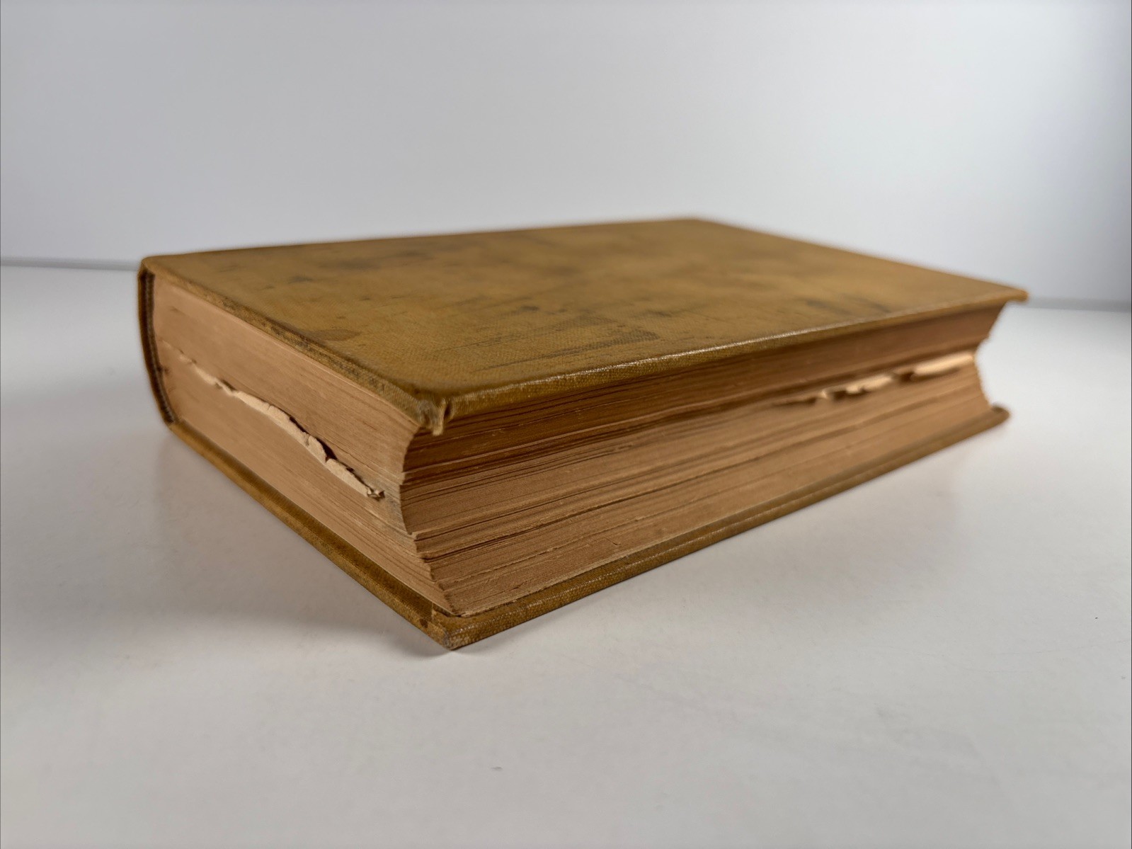 1850 Manual of the Corporation of the City of New York D.T. Valentine McSpedon