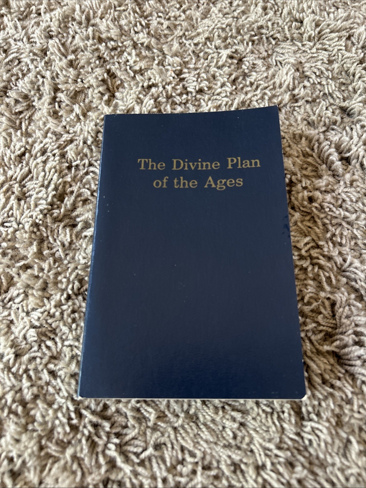 RARE Vintage 1886/1916 The Divine Plan of the Ages SERIES 1 Handbook *READ* C25