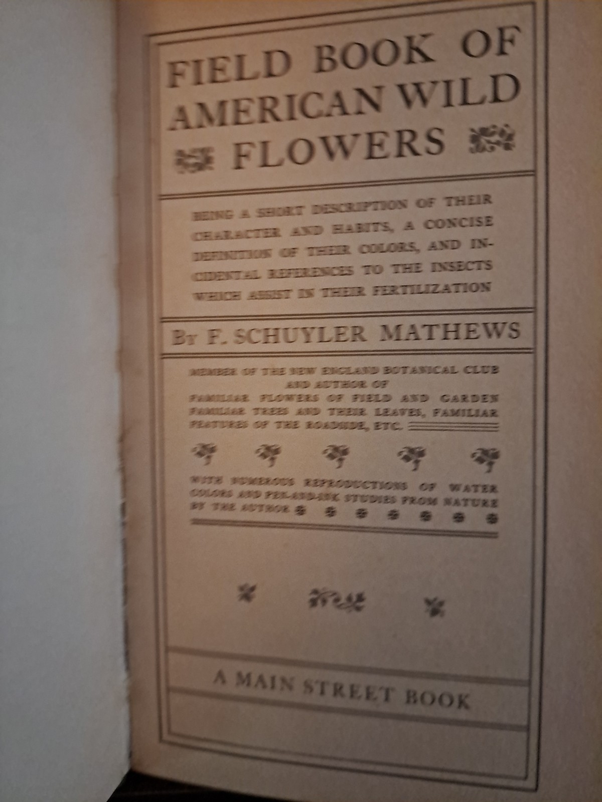 1902 Field Book Of American Flowers F Schuyler Mathews 2001 reprint freeship