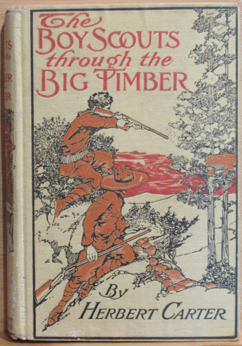 ©1913 The Boy Scouts Through the Big Timber by Herbert Carter A.L. Burt Company