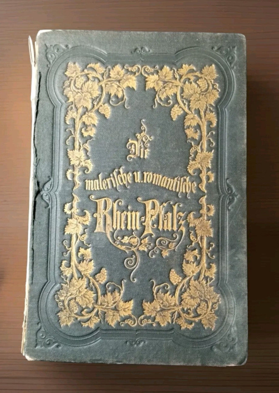 Palatinate At Rhine Rhein Pfalz Illus. Antique, Decorative Hardcover Book 1850’s