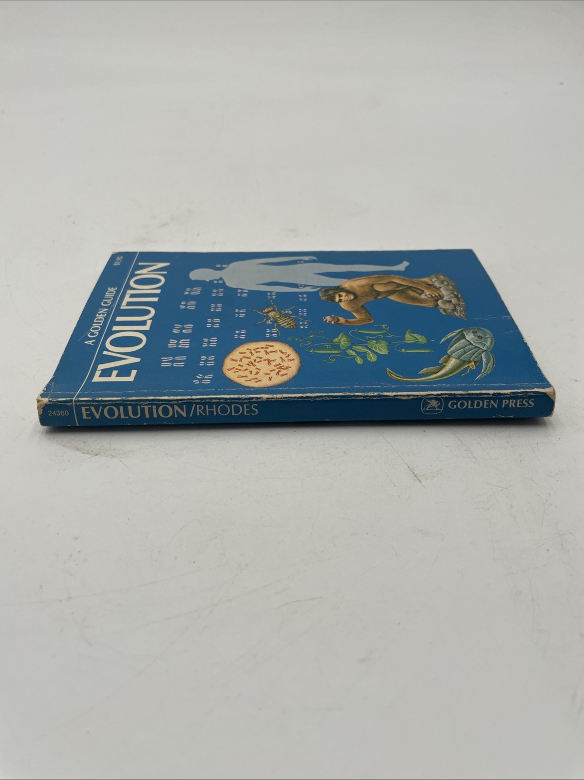 Evolution: A Golden Guide By Rhodes (1974) Golden Press Mini Book