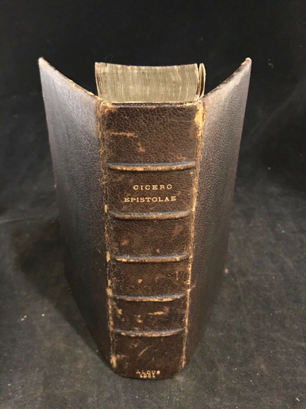 Aldine Press Paulus et Filius Letters of Cicero 1551
