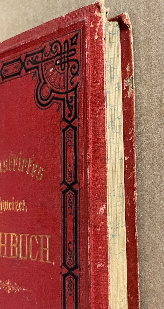 Neues Illustrirtes Schweizer Kochbuch [New Illustrated Swiss Cookbook] 1876