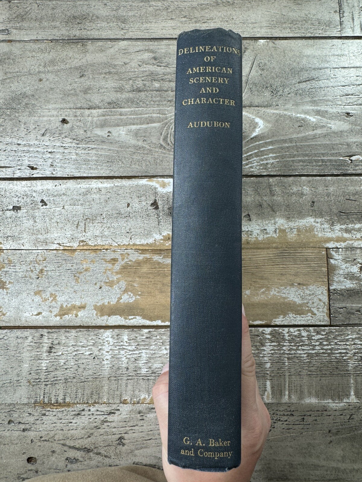 1926 Antique Art & Nature Book „Delineations of American Scenery and Character“