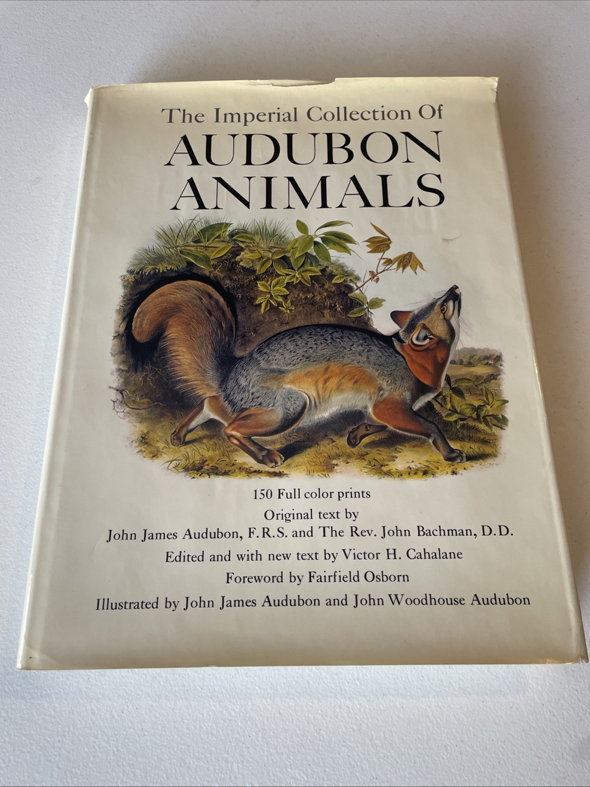The Imperial Collection Of Audubon Animals By John James Audubon Vintage 1967