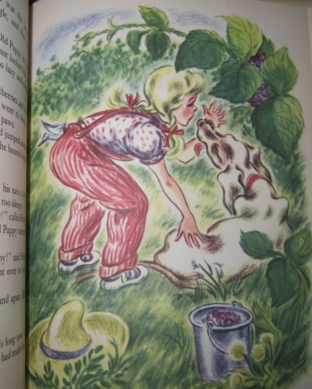 A Lion for Patsy 1947 HB/DJ Illustrated by Vera Neville Scarce Lion Book