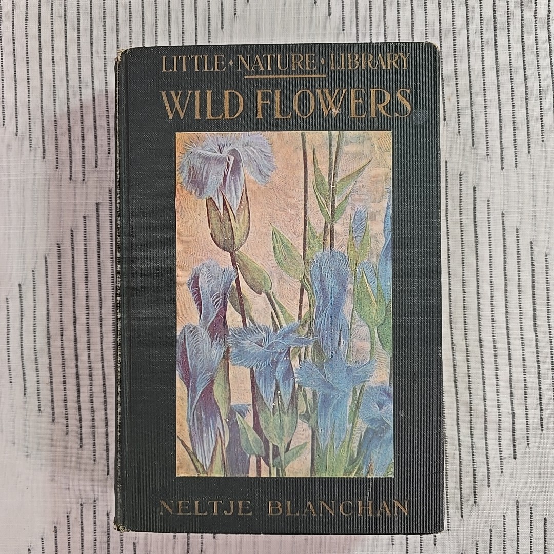 Little Nature Library Wild Flowers Worth Knowing 1st Ed. 1917 ~ Neltje Blanchan