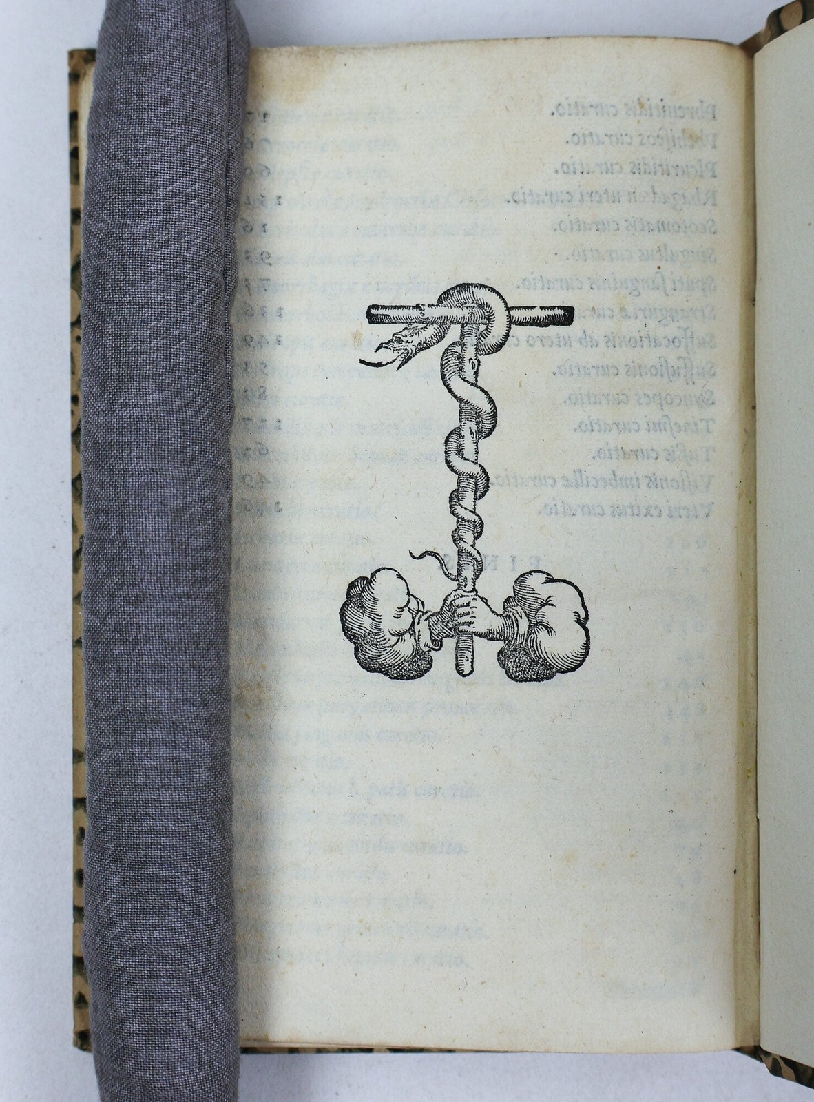 Iacobum Sylvium / MORBORUM INTERNORUM PROPE OMNIUM CURATIO BREVI METHODO 1549