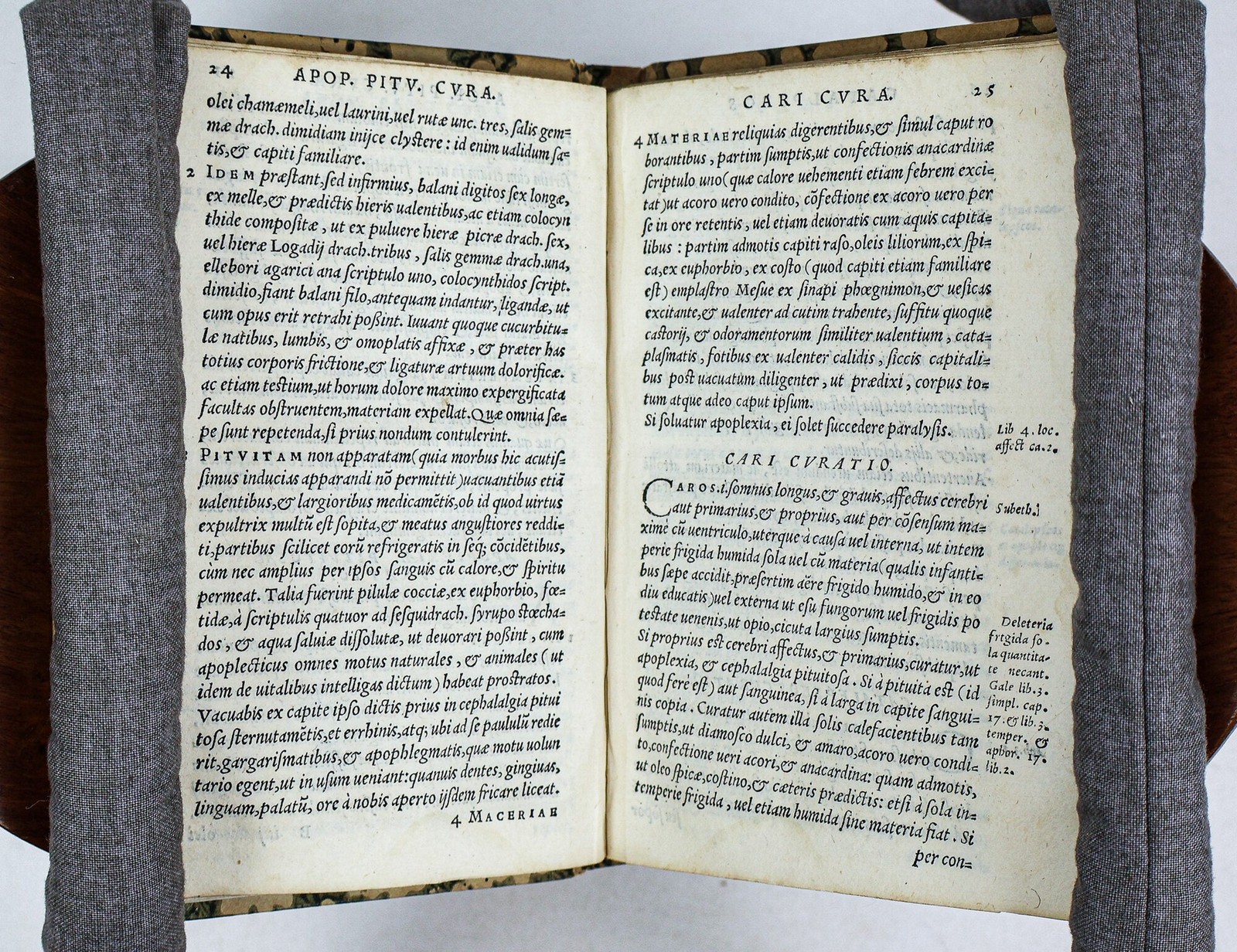 Iacobum Sylvium / MORBORUM INTERNORUM PROPE OMNIUM CURATIO BREVI METHODO 1549