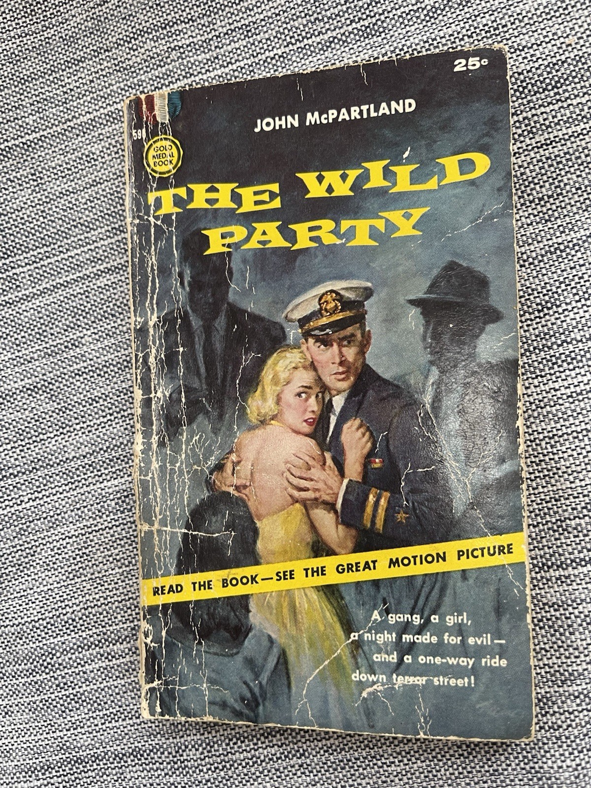 Vintage paperback novel: The Wild Party, by John McPartland